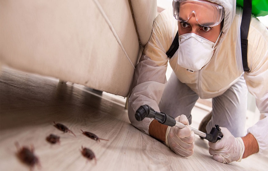 pest control